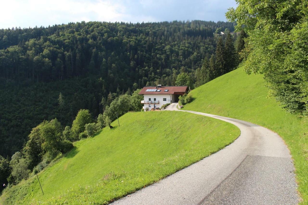 Ferienwohnung By Josef Lanzinger Bad Vigaun Kültér fotó